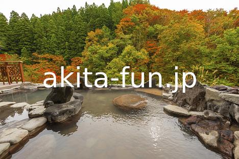 06秋の宮温泉郷　湯けむりの宿　稲住温泉
