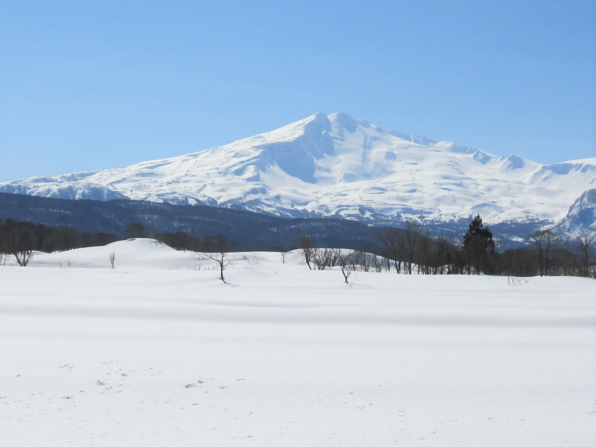 にかほんじょうふゆめぐりスタンプラリー【由利本荘市・にかほ市】