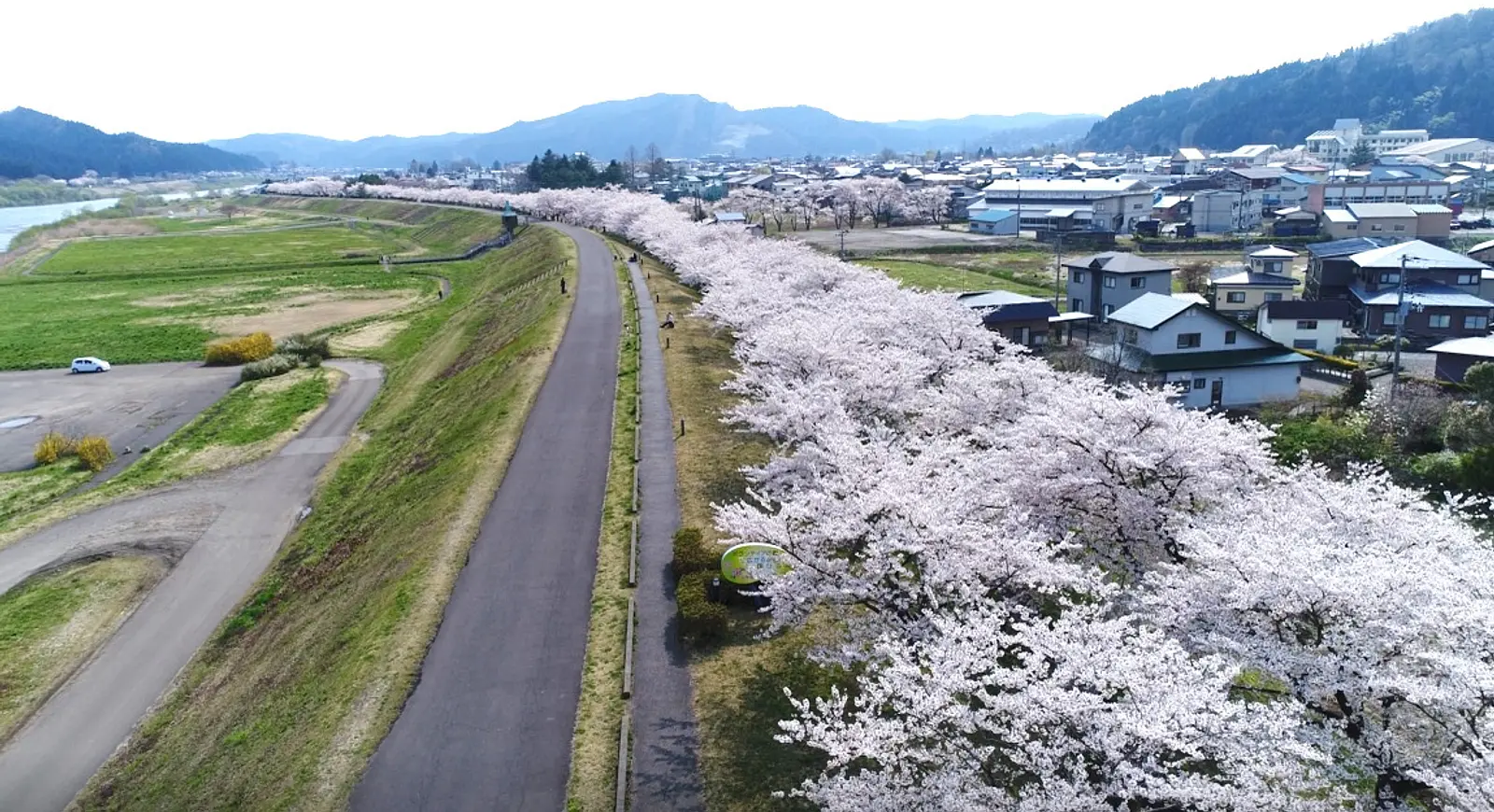 桜づつみ公園03