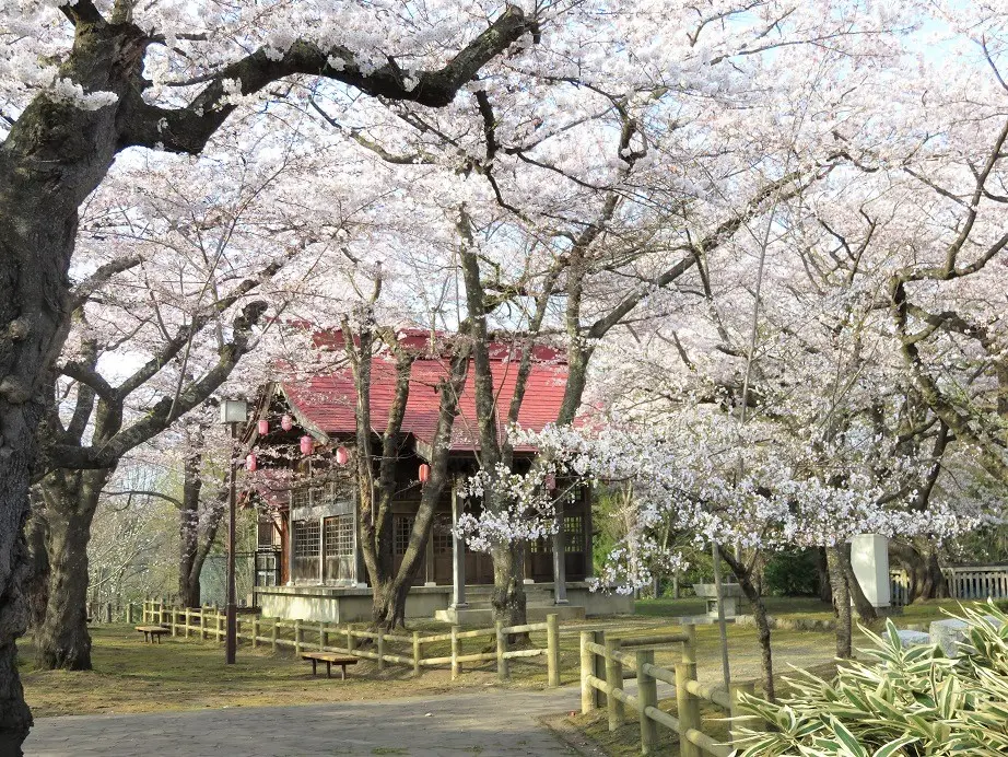 桜山公園