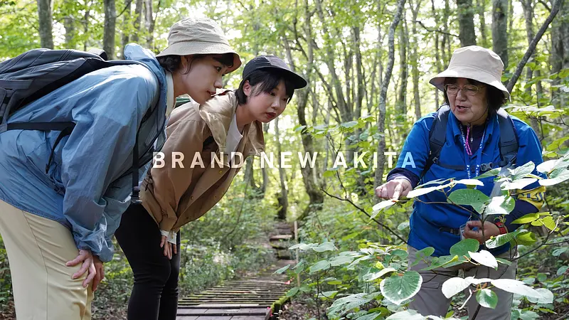 鳥海山獅子ヶ鼻湿原（ちょうかいさんししがはなしつげん）トレッキングと、99glamで過ごす非日常のご褒美ステイ
