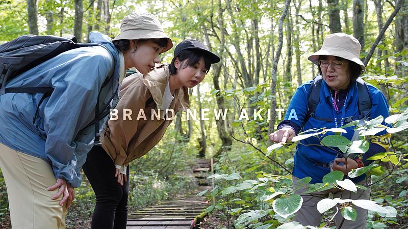 鳥海山獅子ヶ鼻湿原（ちょうかいさんししがはなしつげん）トレッキングと、99glamで過ごす非日常のご褒美ステイ