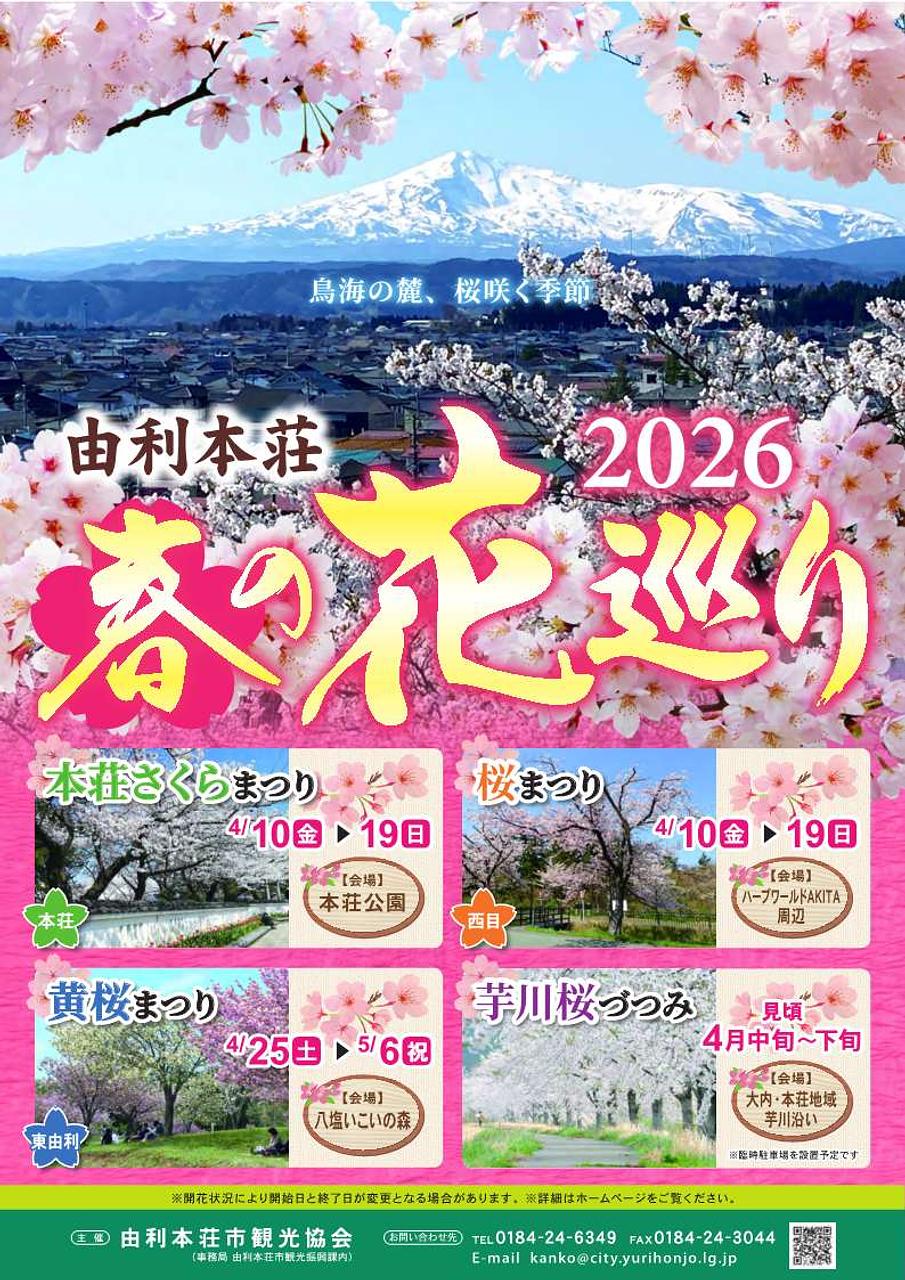 芋川の桜づつみ【由利本荘市】