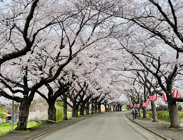 鷹巣中央公園