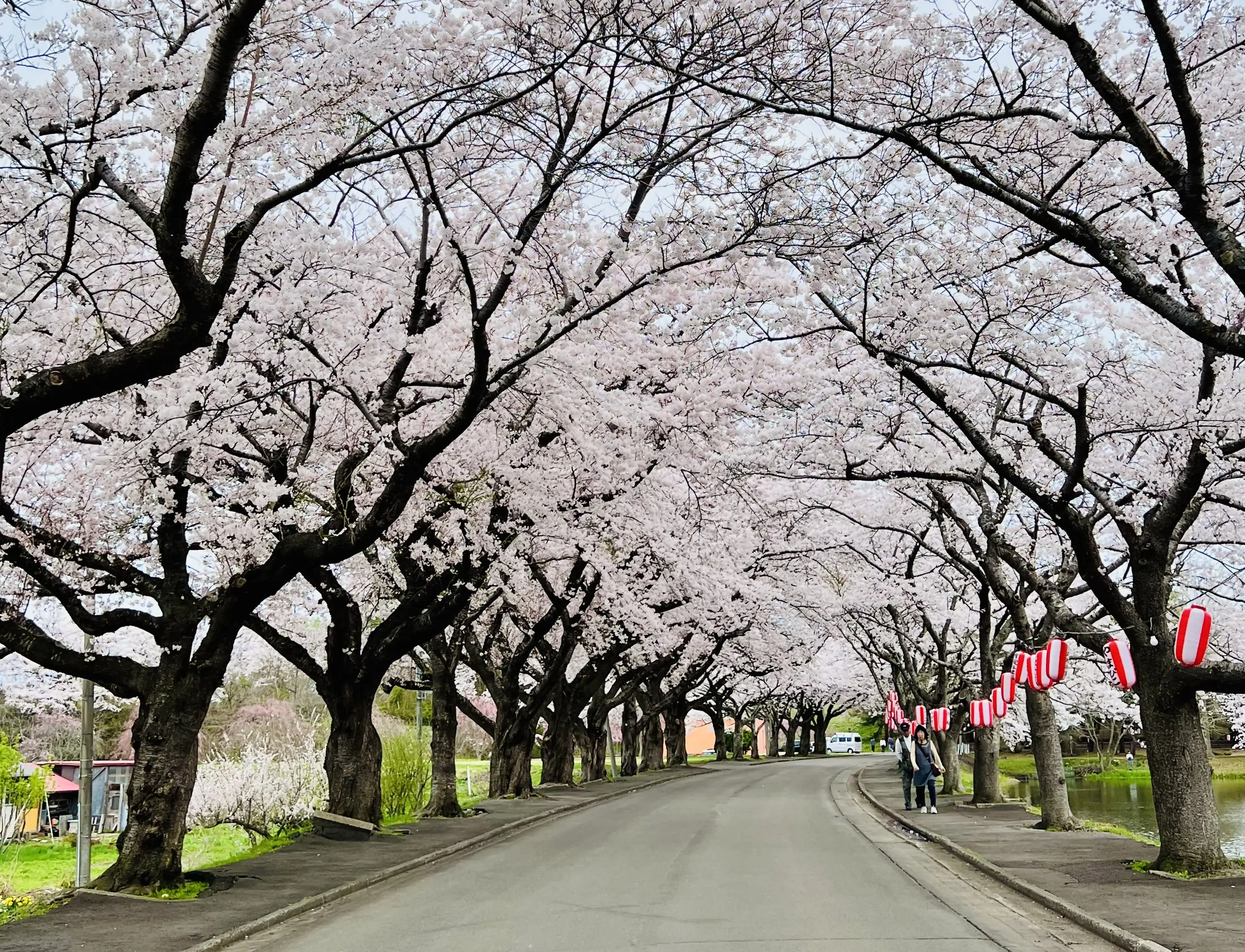 鷹巣中央公園