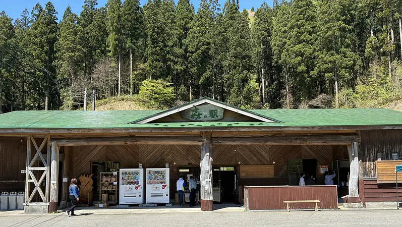 森の駅