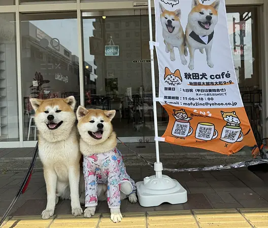 秋田犬café（秋田犬カフェ）