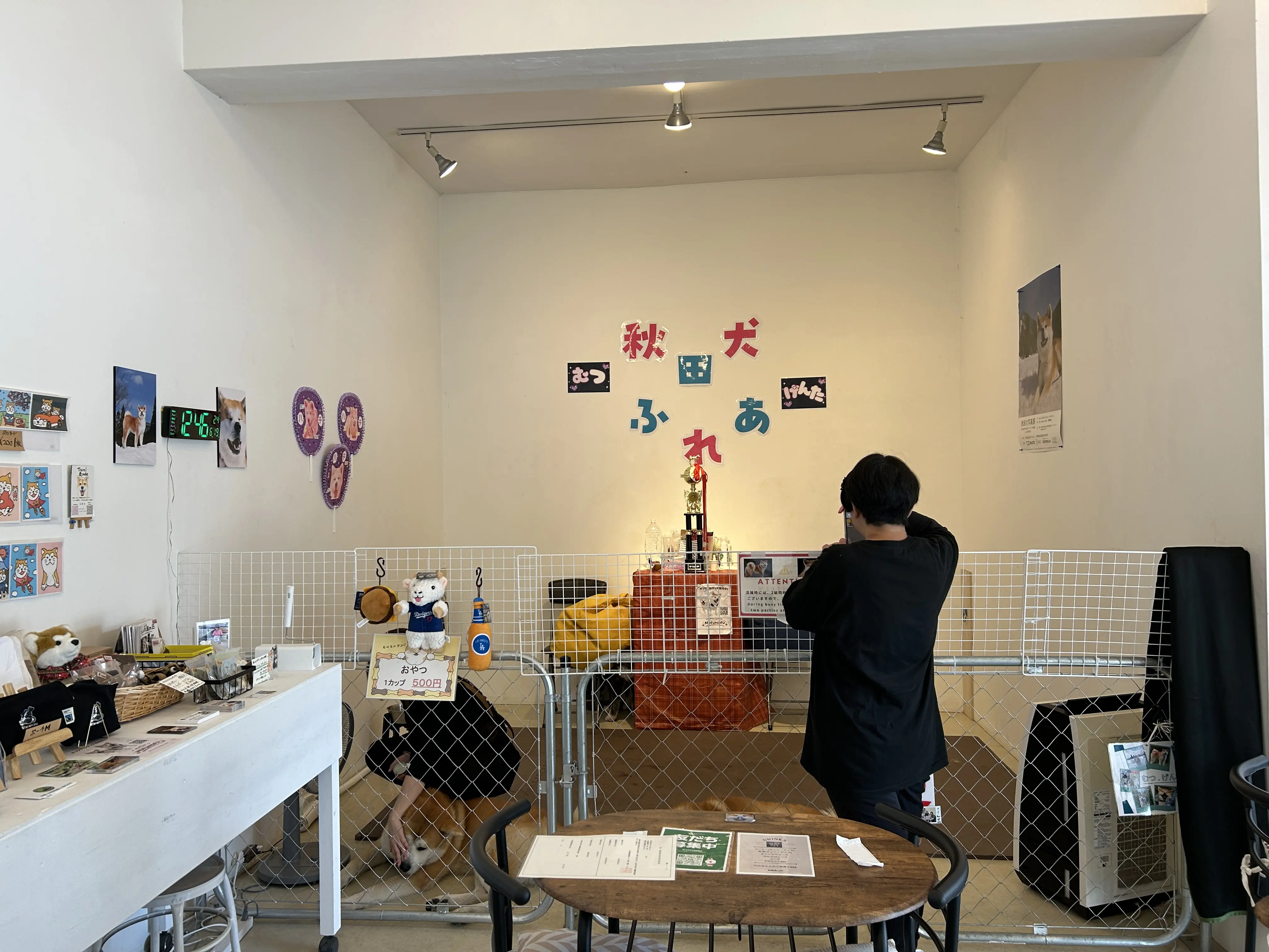 秋田犬café（秋田犬カフェ）