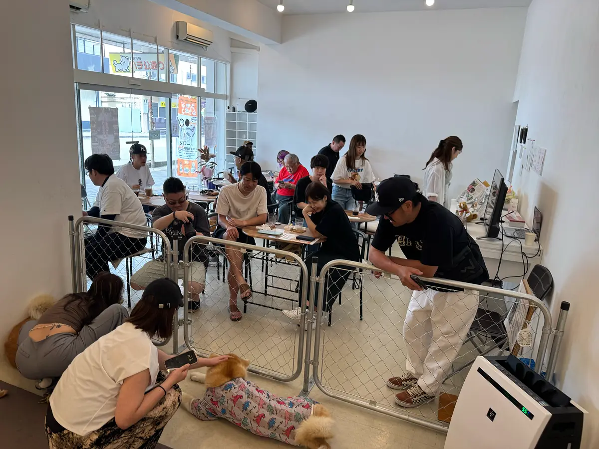 秋田犬café（秋田犬カフェ）