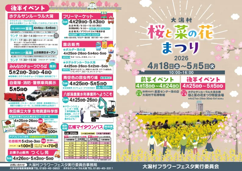桜と菜の花まつり２０２６【大潟村】
