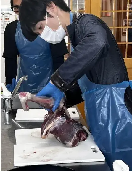 北秋田自然体験「鹿肉解体体験」【北秋田市】