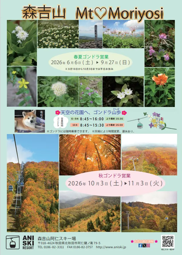 森吉山阿仁スキー場・秋ゴンドラ営業【北秋田市】