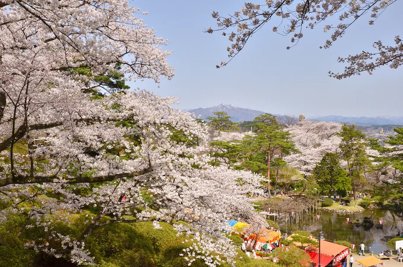 花の名所特集～春編～秋田のおすすめ花めぐり | ブランニューアキタ | アキタファン