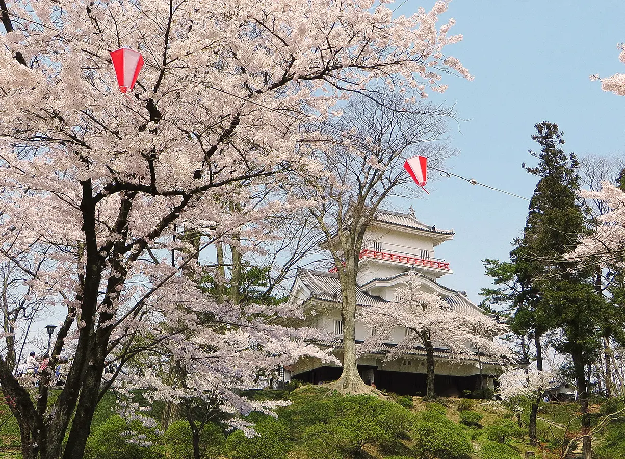 花の名所特集～春編～秋田のおすすめ花めぐり | ブランニューアキタ | アキタファン