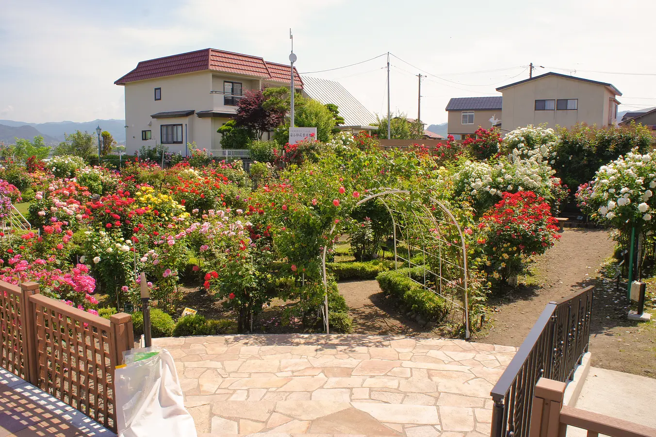 花の名所特集～春編～秋田のおすすめ花めぐり | ブランニューアキタ | アキタファン