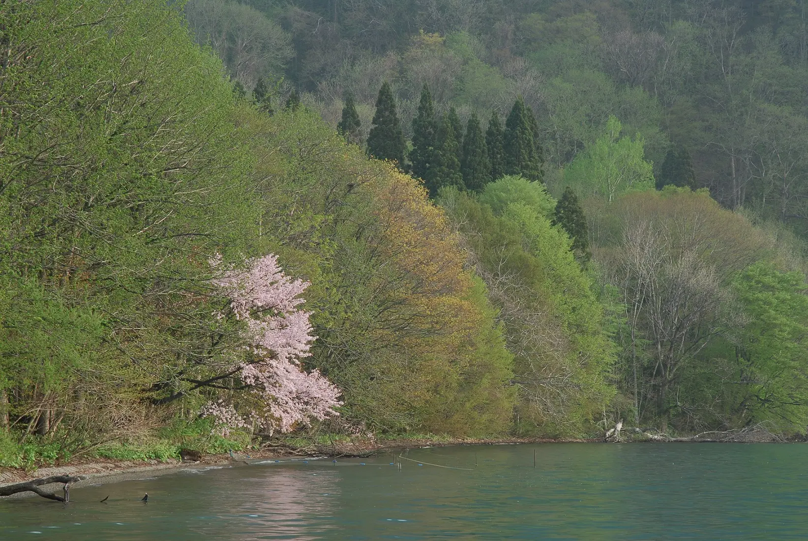 十和田湖