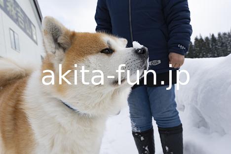 02森吉山阿仁スキー場