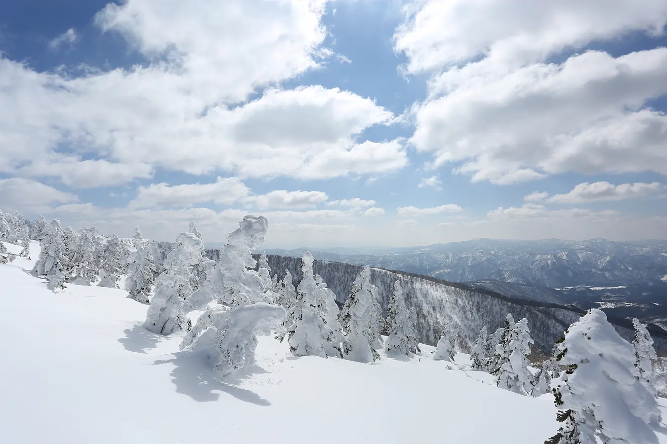 12森吉山の樹氷