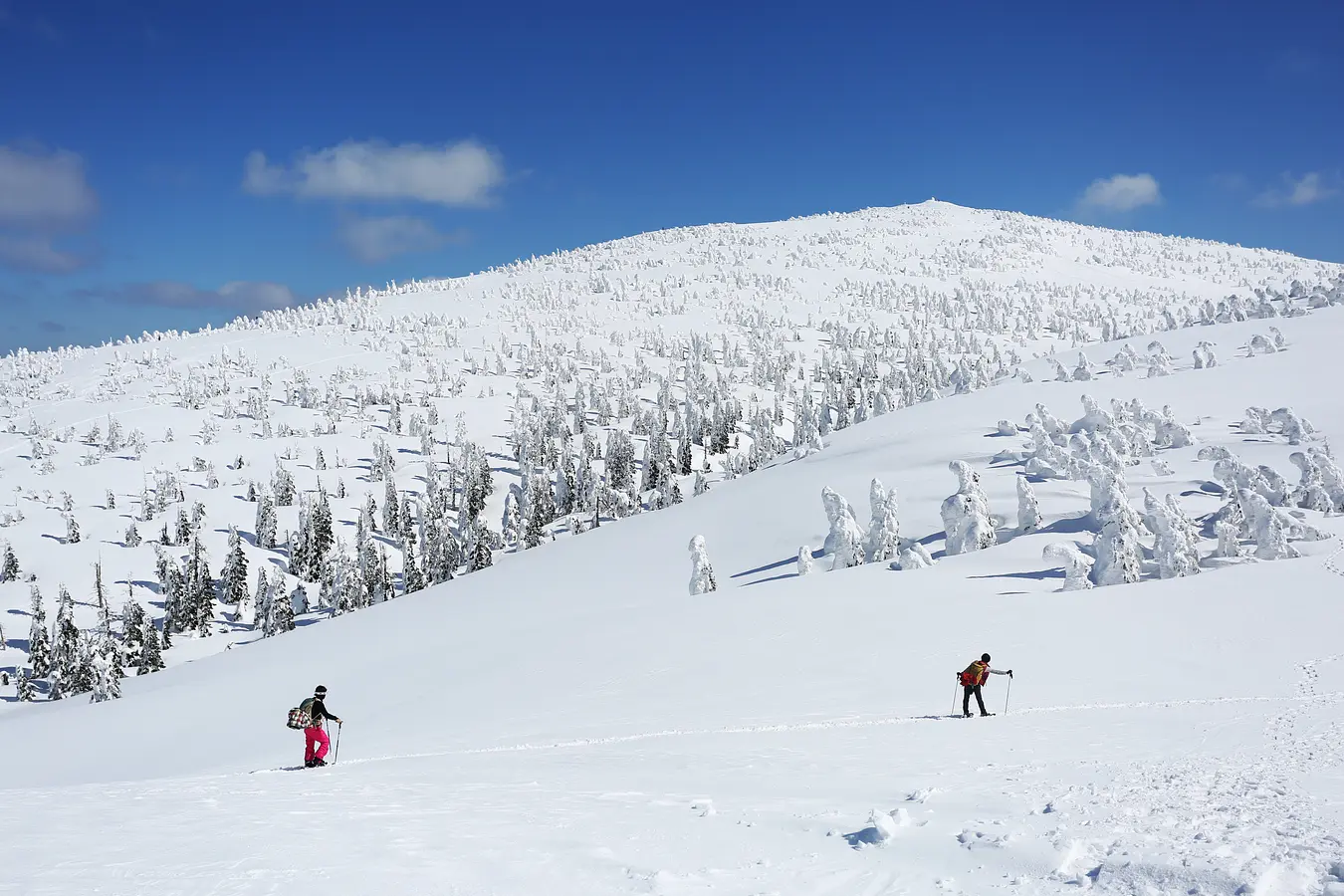 14森吉山の樹氷