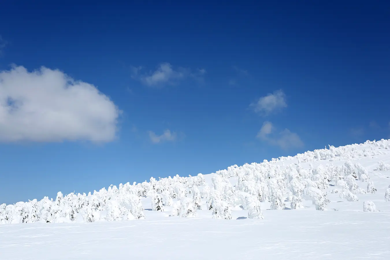15森吉山の樹氷