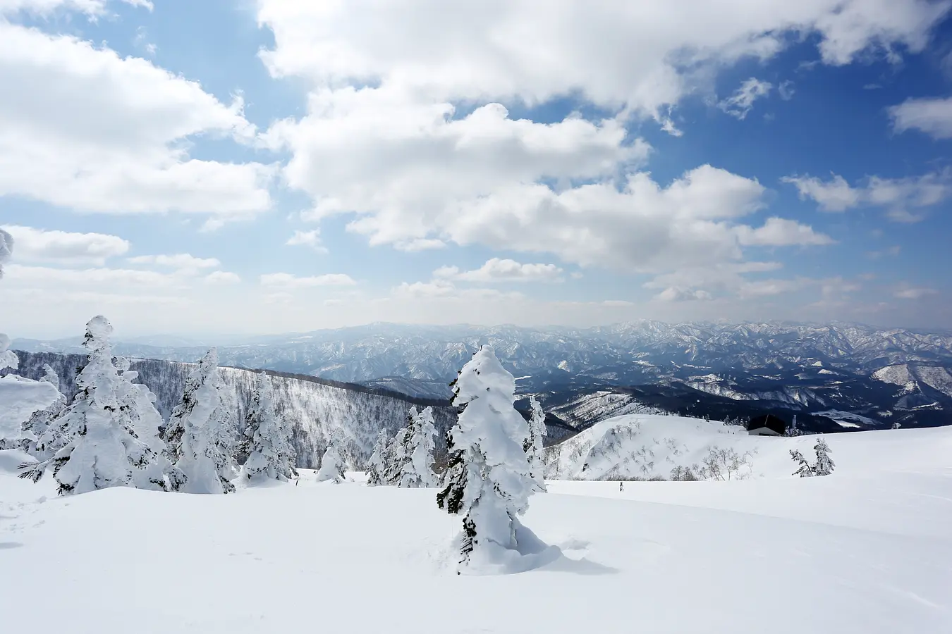 16森吉山の樹氷