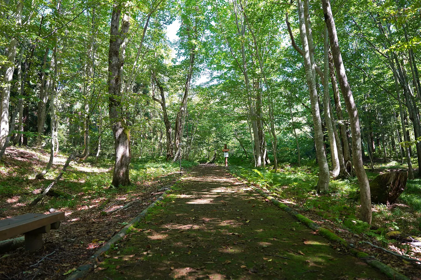 02岳岱自然観察教育林