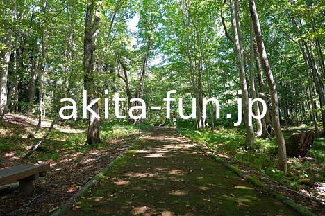 02岳岱自然観察教育林