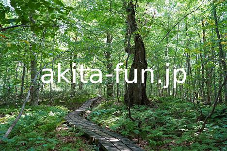 10岳岱自然観察教育林