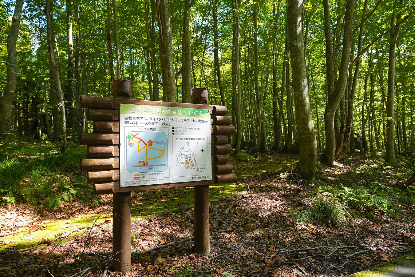 11岳岱自然観察教育林
