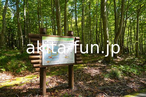 11岳岱自然観察教育林