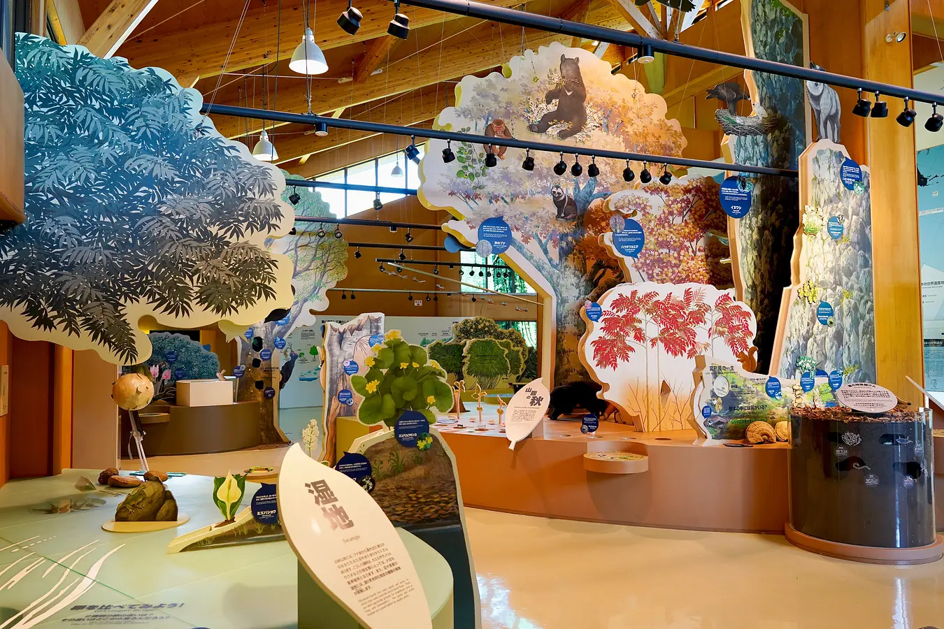 04白神山地世界遺産センター