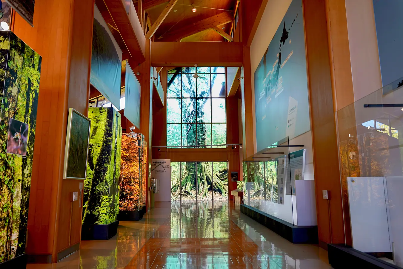 05白神山地世界遺産センター