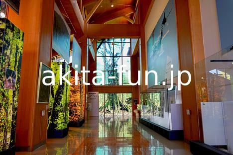 05白神山地世界遺産センター