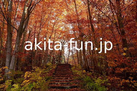 12岳岱自然観察教育林