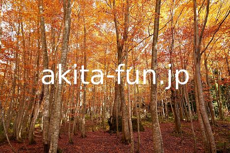 14岳岱自然観察教育林