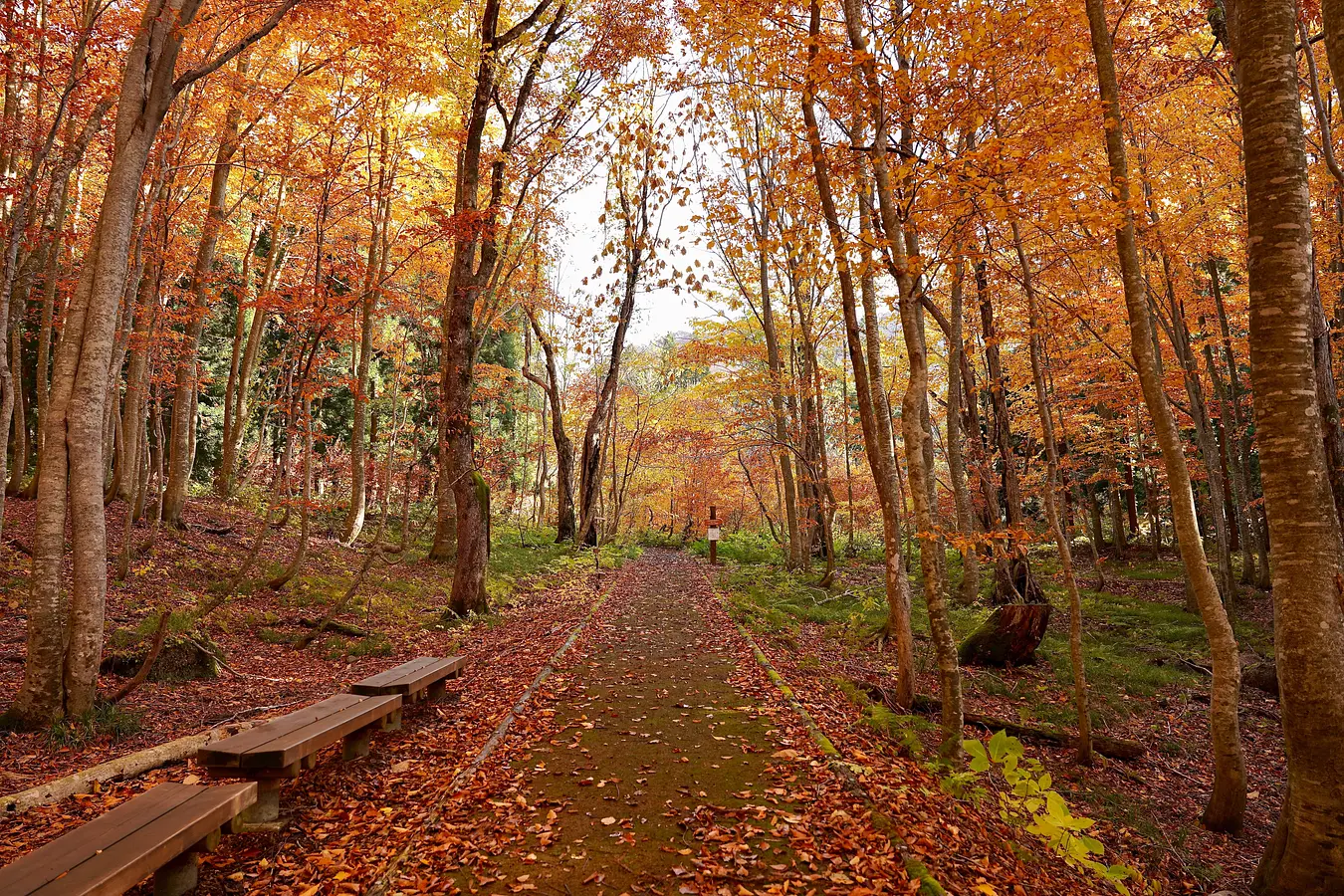 15岳岱自然観察教育林