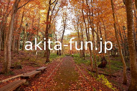 15岳岱自然観察教育林