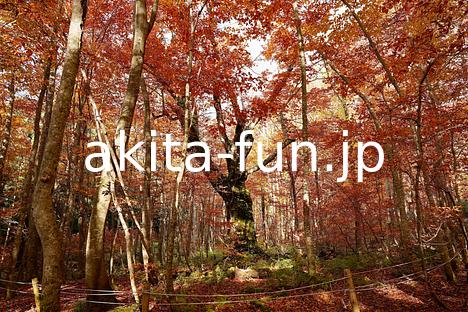 18岳岱自然観察教育林