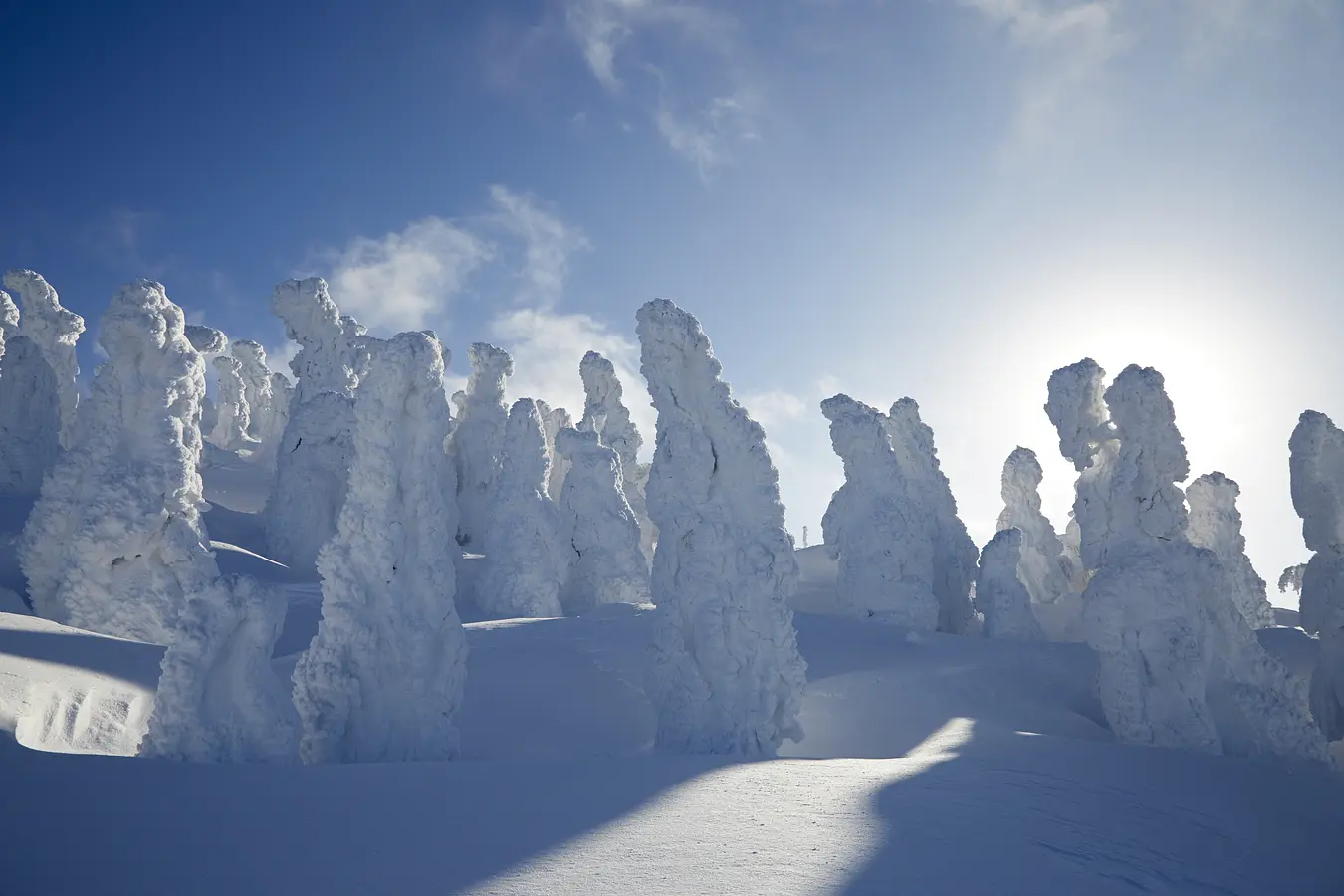 【冬の秋田はほっとけない！】森吉山の樹氷　自然が作り出した芸術・冬の絶景秋田旅 | ブランニューアキタ | アキタファン