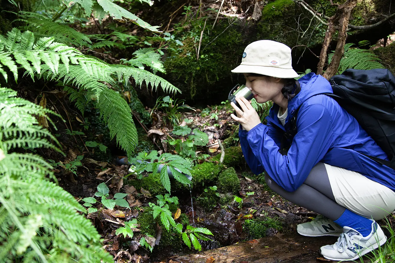 世界自然遺産・白神山地でオトナ女子トレッキングツアー | ブランニューアキタ | アキタファン