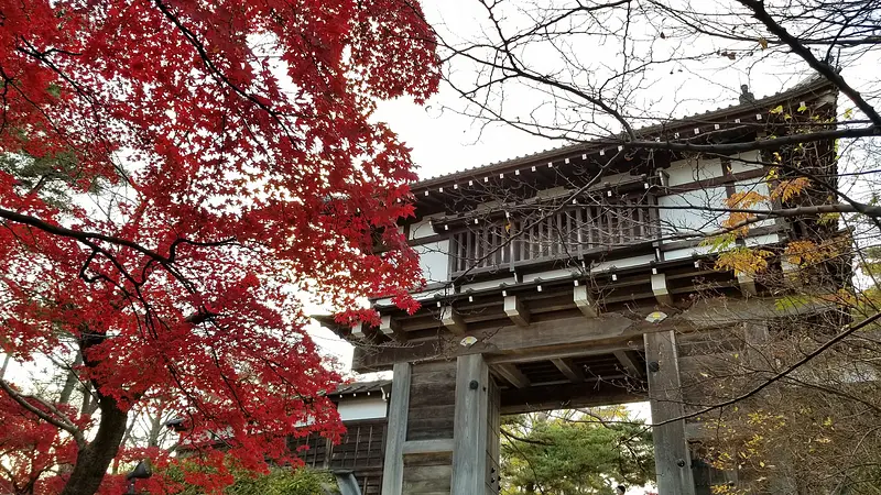 千秋公園の紅葉