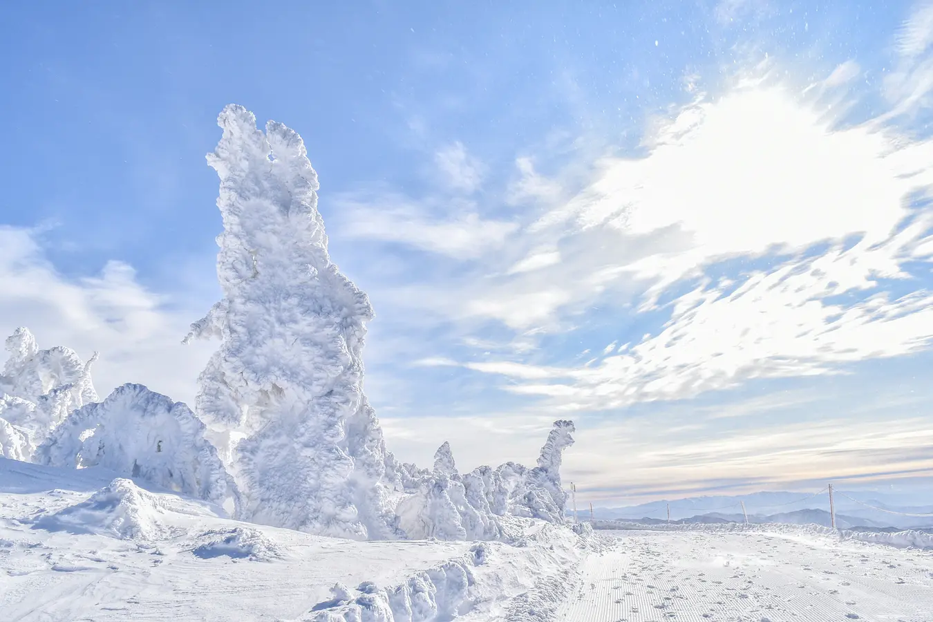 【冬の秋田はほっとけない！】森吉山の樹氷　自然が作り出した芸術・冬の絶景秋田旅 | ブランニューアキタ | アキタファン