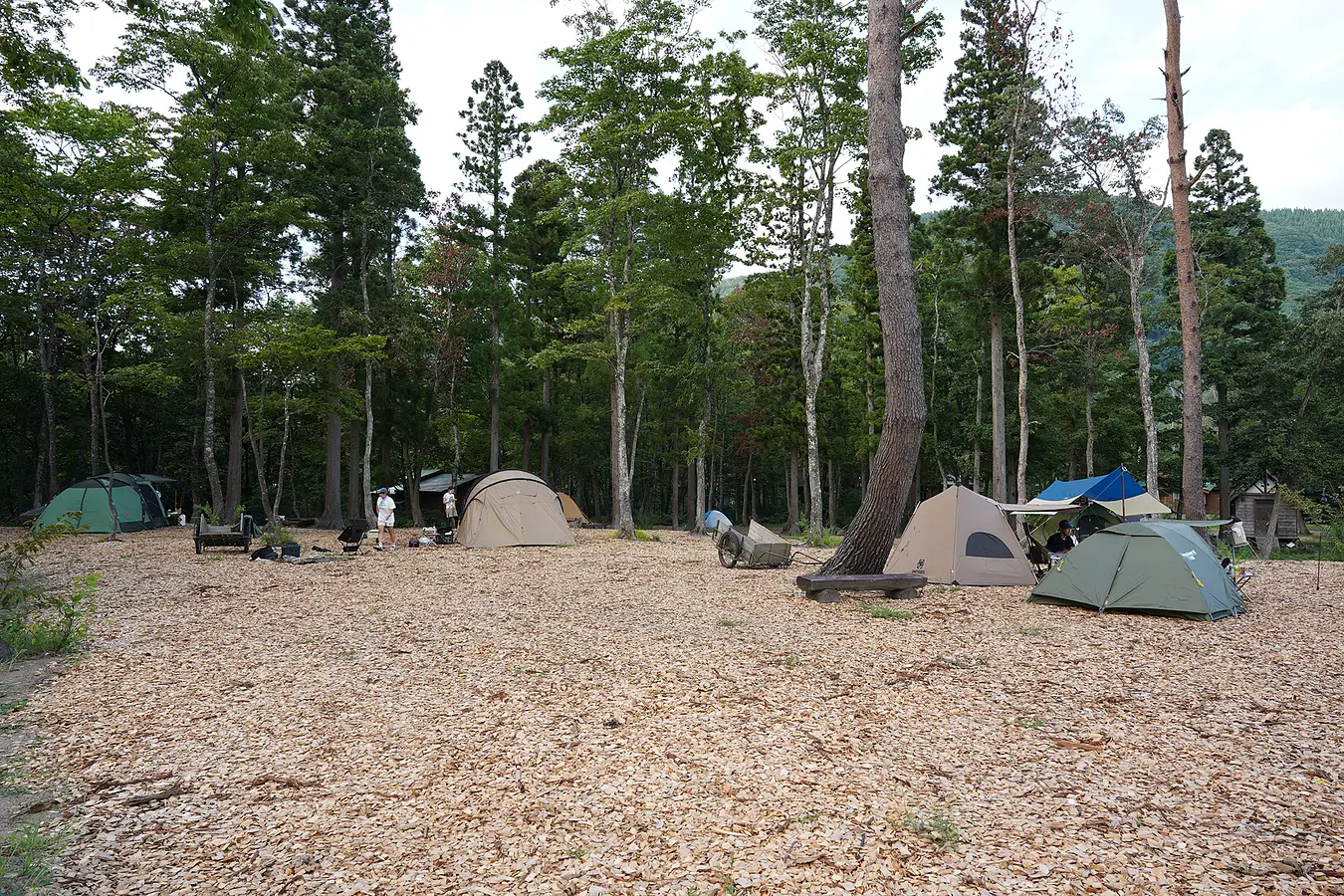 インドア家族、湯沢市のとことん山キャンプ場に行く。 | ブランニューアキタ | アキタファン