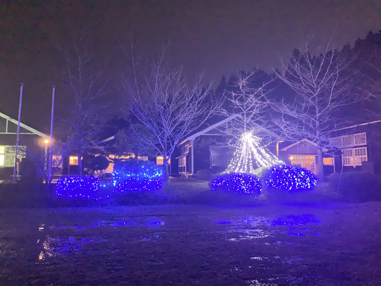 【鳥海山木のおもちゃ館】クリスマスイルミネーション 
