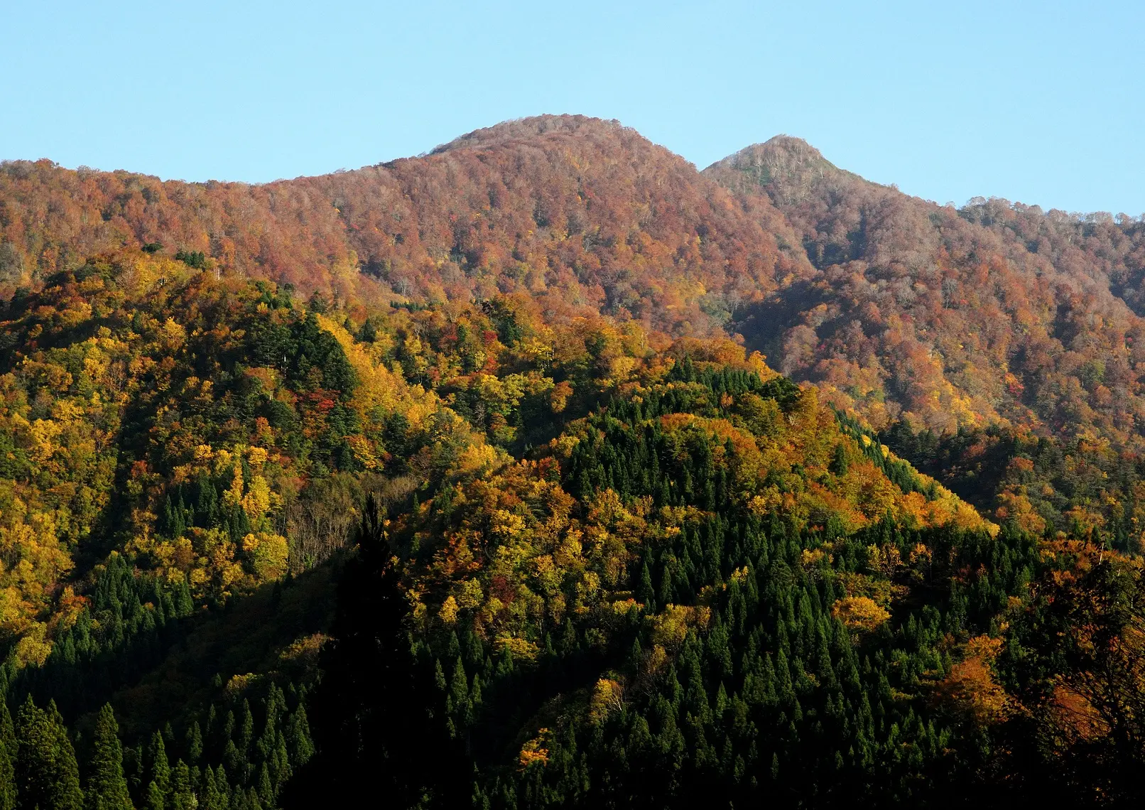 白神山地駒ケ岳の紅葉