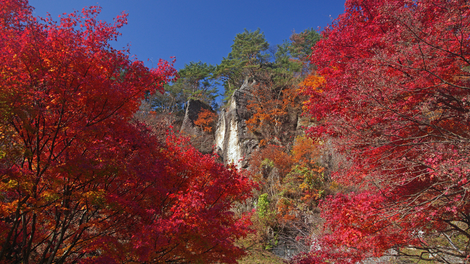 秋田の紅葉めぐり。世界遺産に文化財、秋の絶景特集！ | ブランニューアキタ | アキタファン