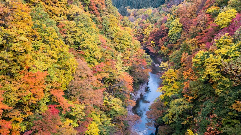小安峡の紅葉
